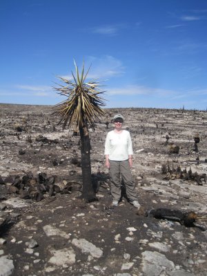 Burned out at Carlsbad.JPG