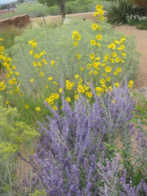 Museum Hill Color.JPG