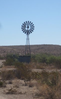 Texas Sight.jpg