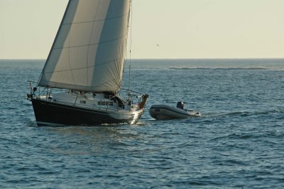 Quiet sailing, Punta del Este, Uruguay