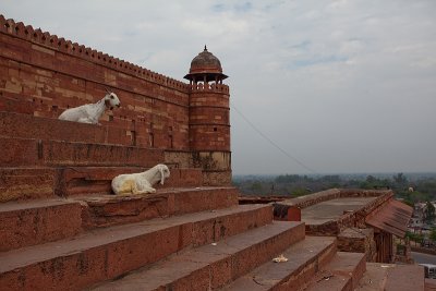 IMG_5787.jpg