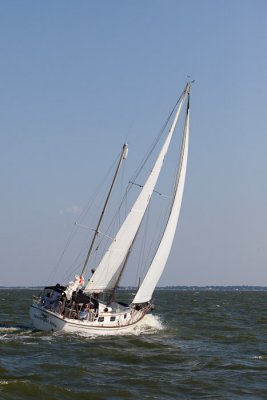 IMG_4517.jpg