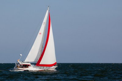 IMG_4528.jpg