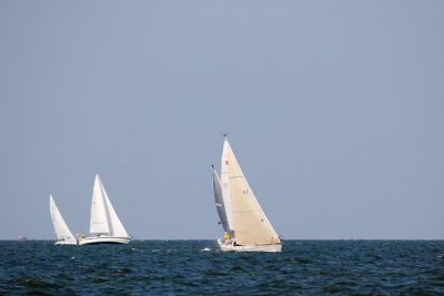 IMG_4533.jpg