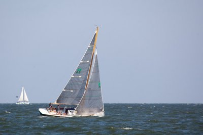 IMG_4567.jpg
