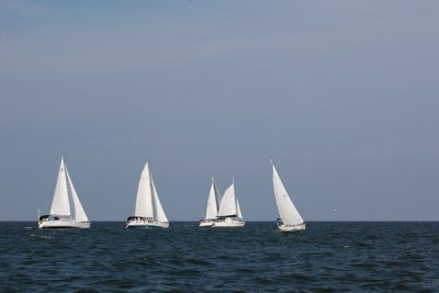 IMG_4574.jpg