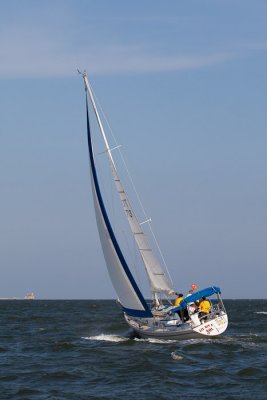 IMG_4584.jpg