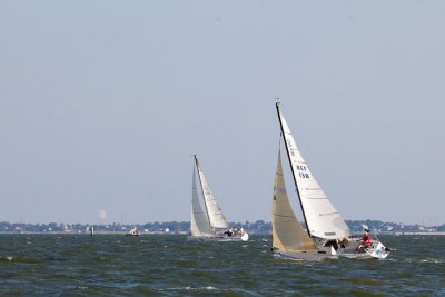 IMG_4595.jpg