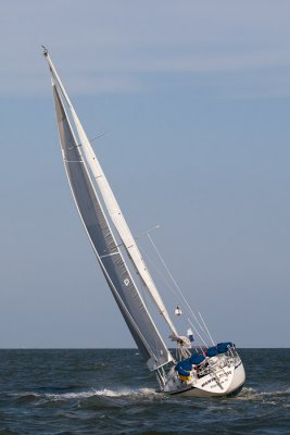 IMG_4612.jpg