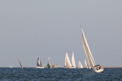IMG_4664.jpg