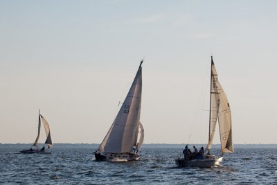 IMG_4702.jpg