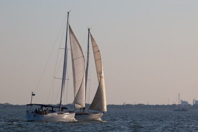 IMG_4703.jpg