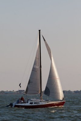 IMG_4709.jpg