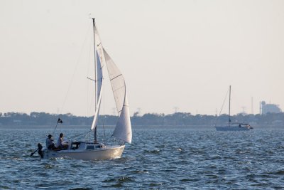 IMG_4711.jpg