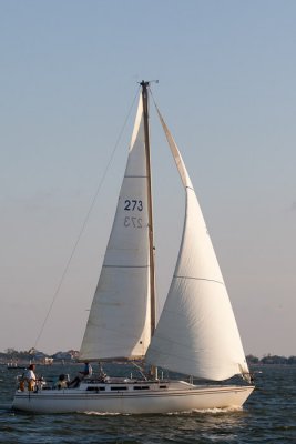 IMG_4715.jpg