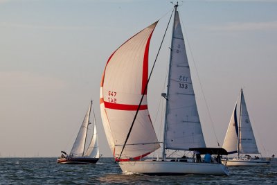 IMG_4799.jpg