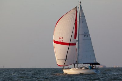 IMG_4867.jpg