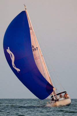 IMG_5036.jpg