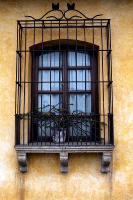 IMG_9035.jpg