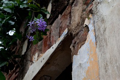 IMG_9045.jpg