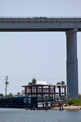 IMG_7842.jpg