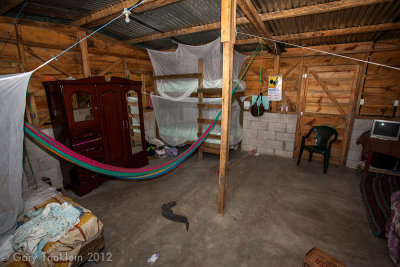 IMG_6353.jpg