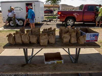 Balmorhea State Park