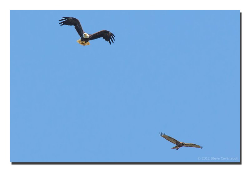 20120704_3a7b5223.jpg