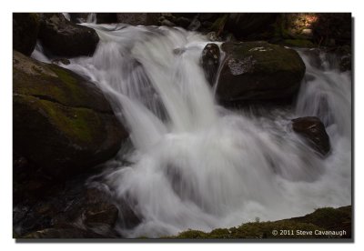 20110612_img_3022.jpg