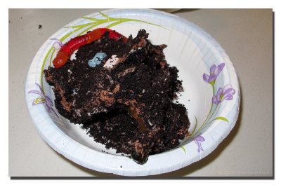 Michael Payor's 65th Birthday