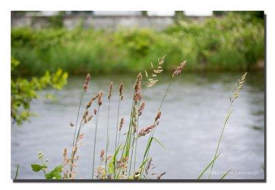 20120617_3a7b4295.jpg