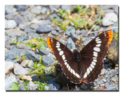 20120627_3a7b4840.jpg