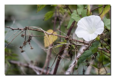 20120715_3a7b5673.jpg