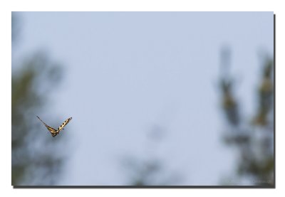 20120715_3a7b5682.jpg