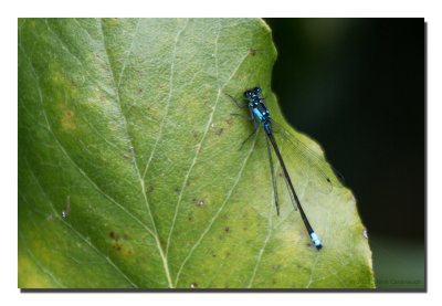 20120715_3a7b5825.jpg