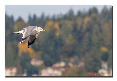 Sammamish State Park on November 5-6, 2011
