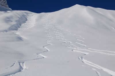 our ski tracks