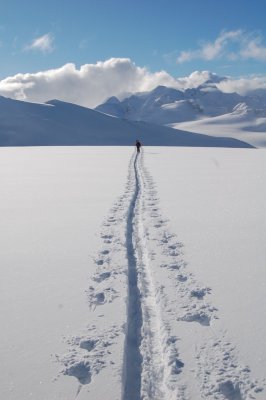 Primrose Glacier