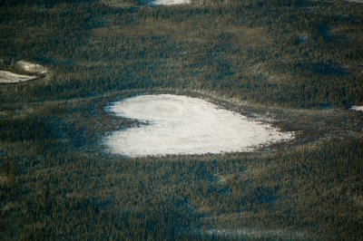 Heart of the Yukon Flats