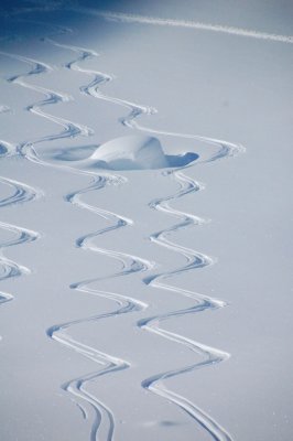 Backcountry Skiing, Icefall Lodge, BC Canada Feb 4-11,2012