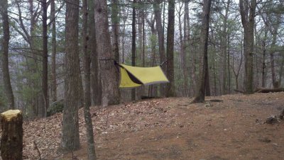 My hamock & tarp.  No leaves yet