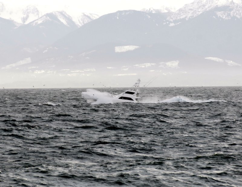 Southeaster