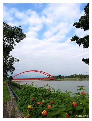 騎乘單車恣意穿梭冬山河畔