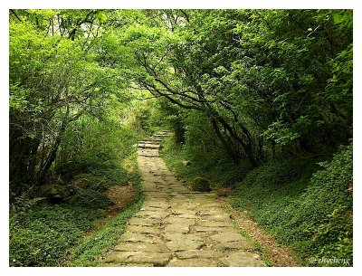 冷水坑步道