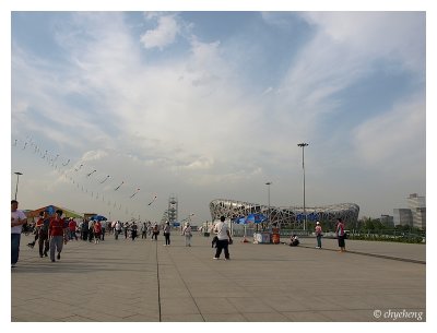 Full of kite sellers