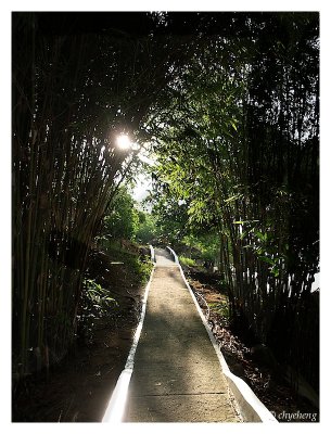 Light thru the tunnel