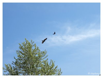 20110602_15-15-16.jpg