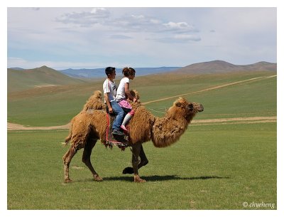 Outer Mongolia 2011