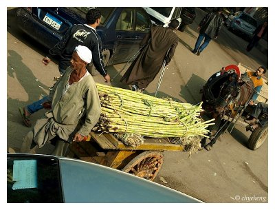 This man pushing the sugarcanes on the cart was faster than us in the bus