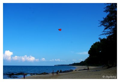 Flying kite
